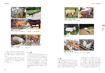 愛玩動物看護師の教科書 第2巻 | 緑書房編集部 |本 | 通販 | Amazon